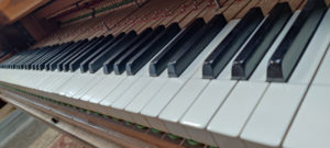 Piano Pleyel 3bis 1894 réglage planéité clavier